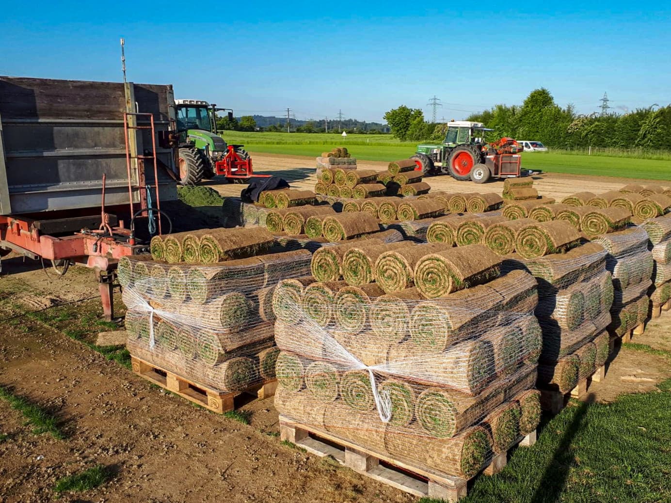 Rasenanlagen - Bild 6