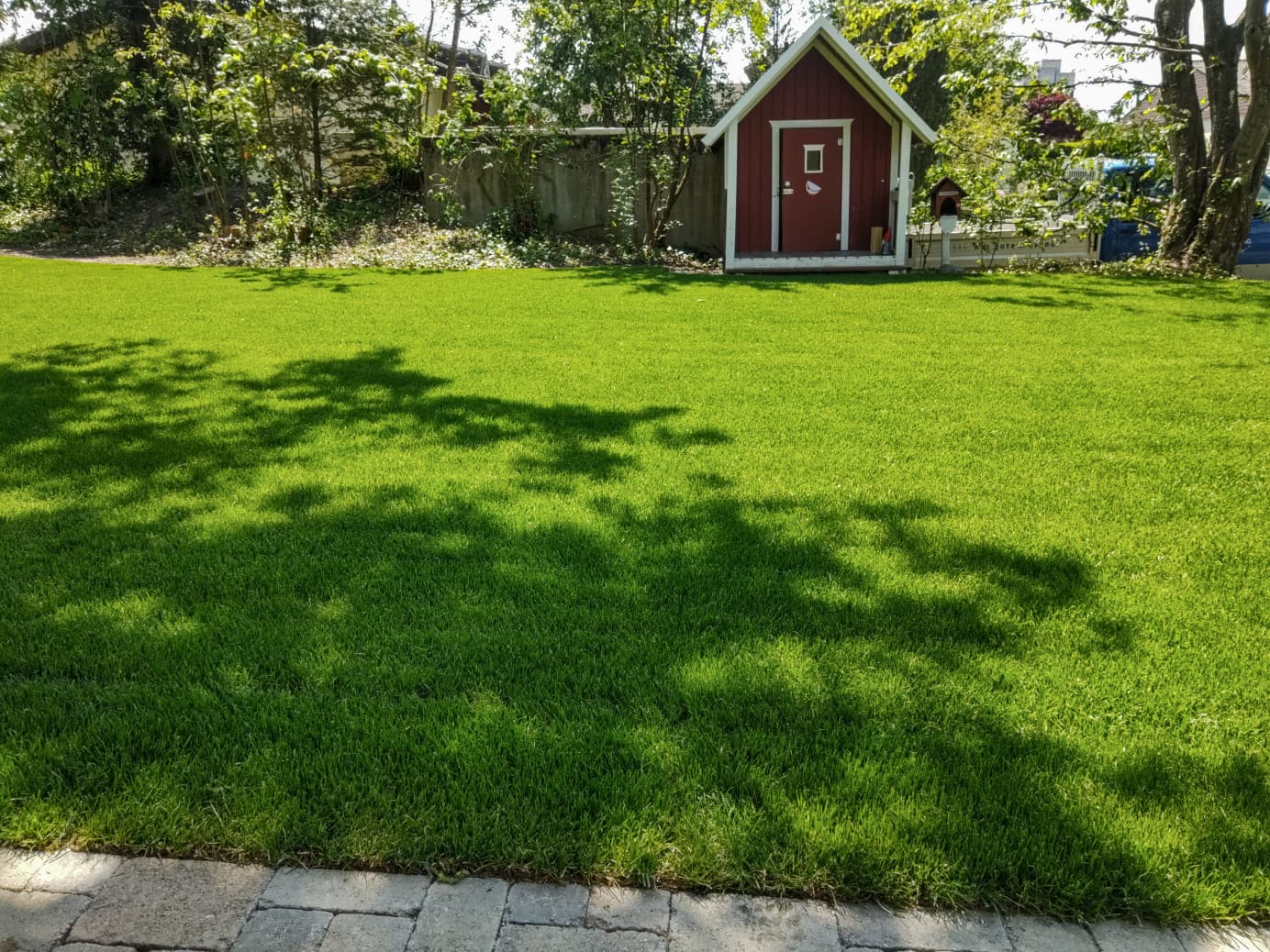 Rasenanlagen - Bild 5