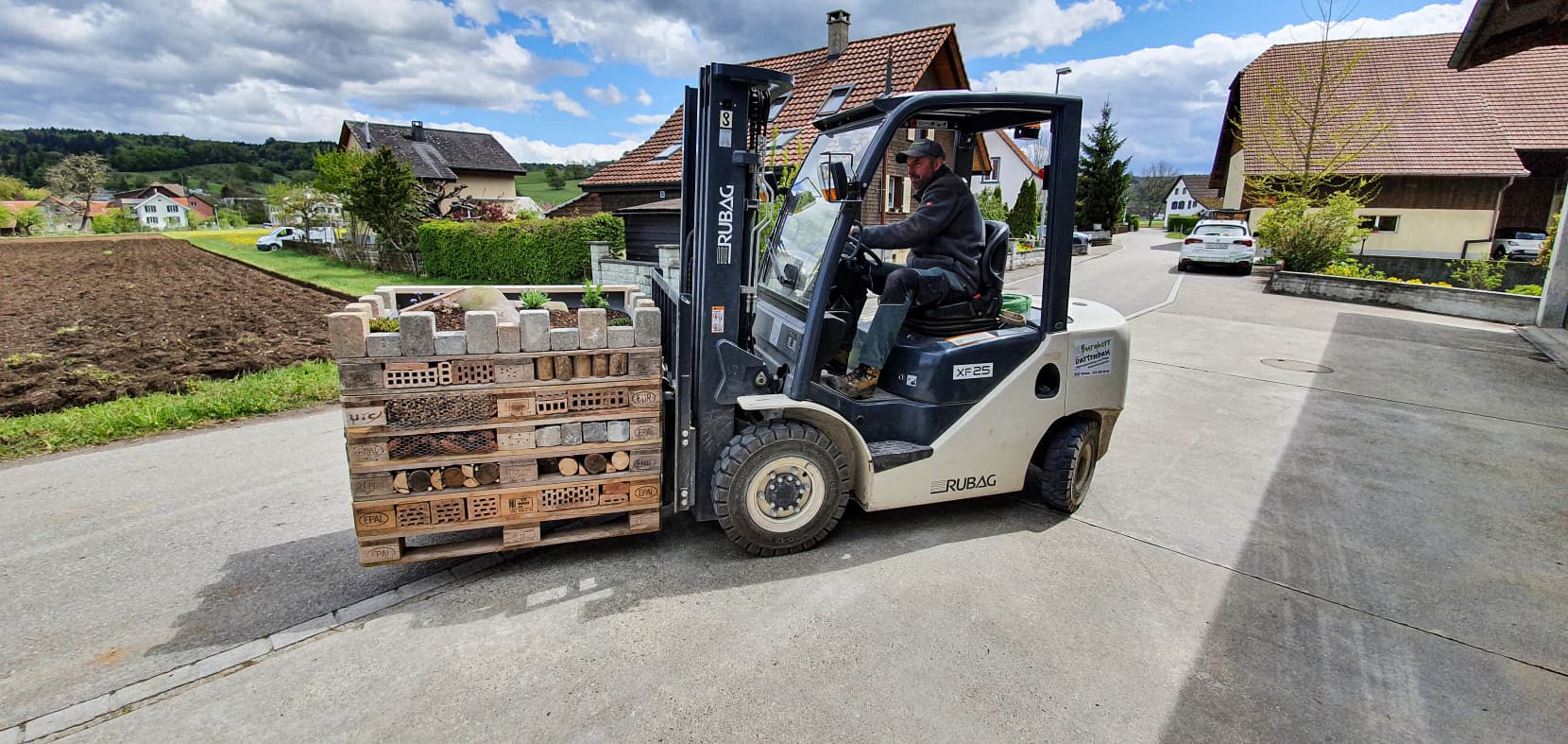 Bepflanzungen - Bild 6