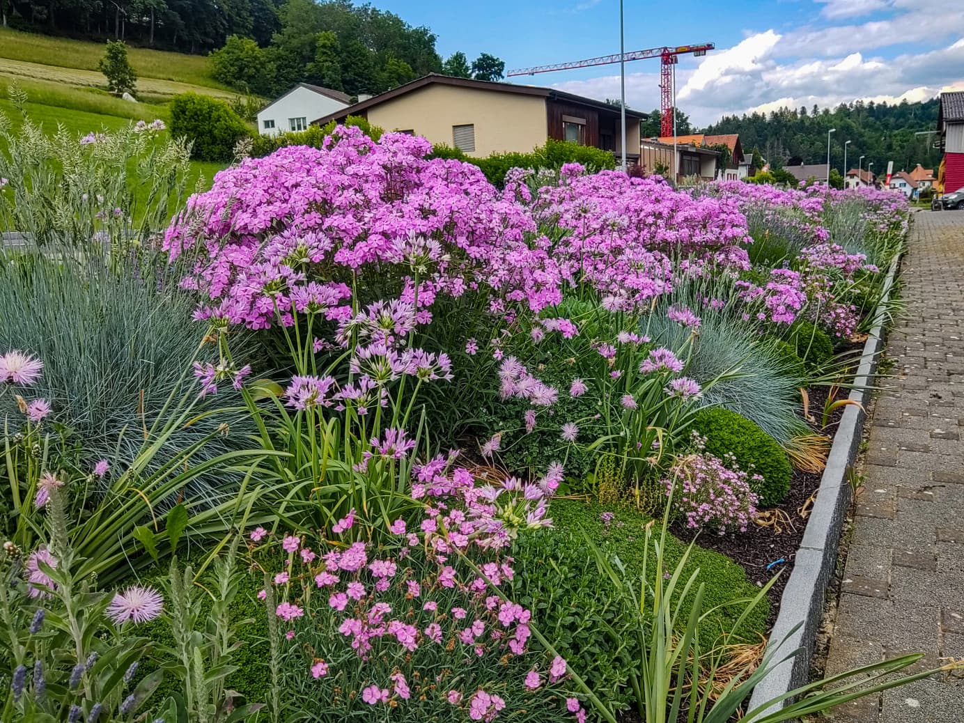 Bepflanzungen - Bild 2