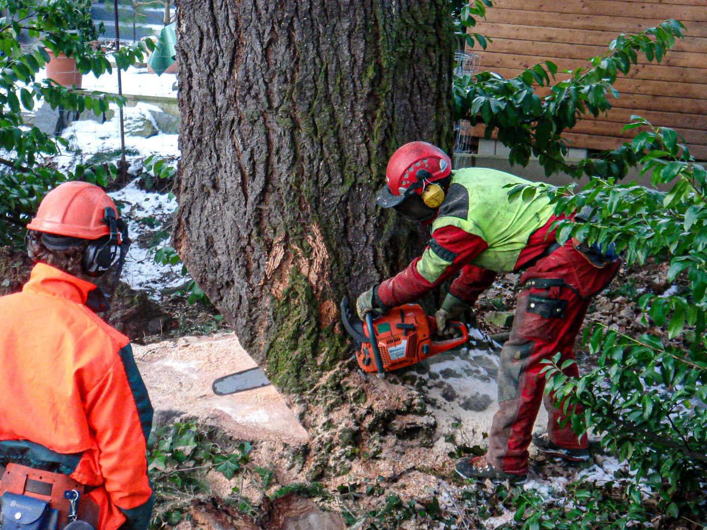 Gartenholzerei - Bild 2