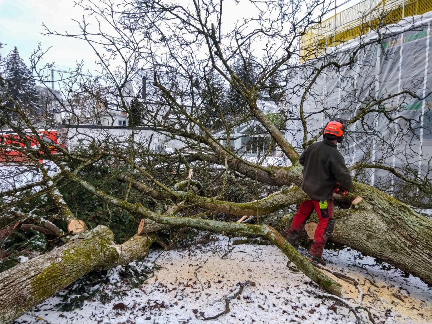 Gartenholzerei - Bild 4
