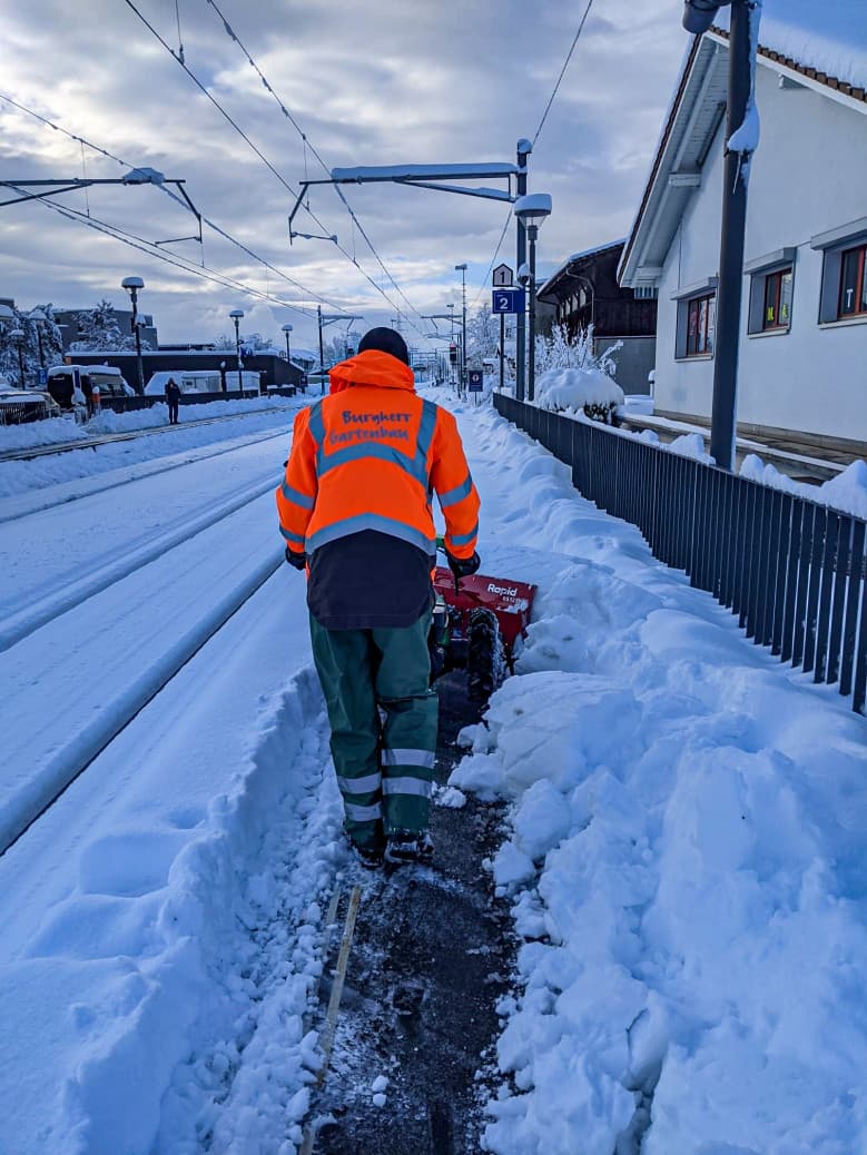 Winterdienst & Gehölzschnitt - Bild 2