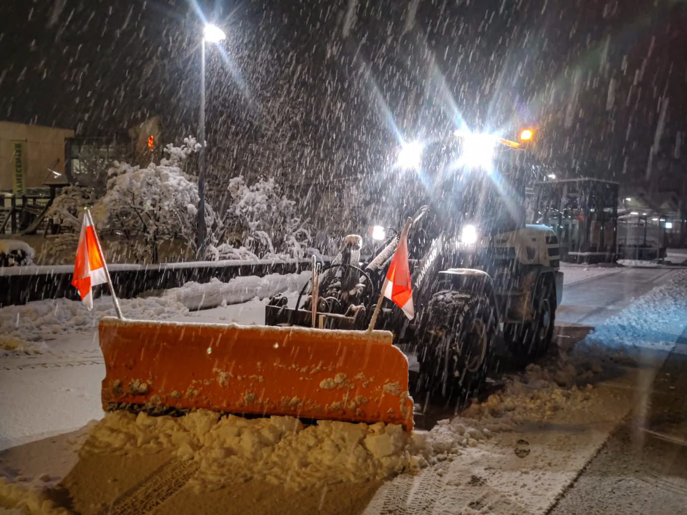 Winterdienst & Gehölzschnitt - Bild 3